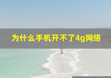 为什么手机开不了4g网络