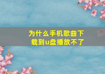 为什么手机歌曲下载到u盘播放不了