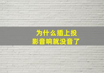 为什么插上投影音响就没音了