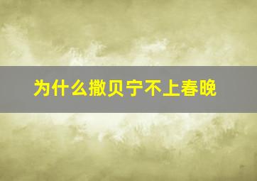 为什么撒贝宁不上春晚