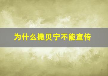 为什么撒贝宁不能宣传