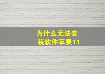 为什么无法安装软件苹果11