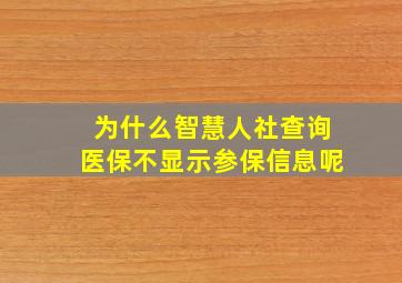 为什么智慧人社查询医保不显示参保信息呢