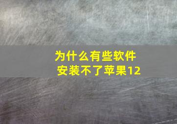 为什么有些软件安装不了苹果12