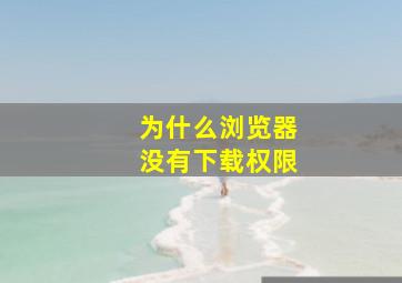 为什么浏览器没有下载权限