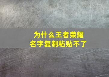 为什么王者荣耀名字复制粘贴不了