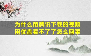 为什么用腾讯下载的视频用优盘看不了了怎么回事