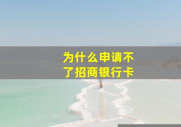 为什么申请不了招商银行卡