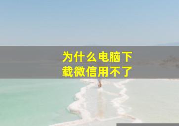 为什么电脑下载微信用不了