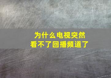 为什么电视突然看不了回播频道了