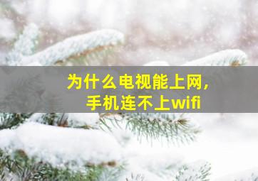 为什么电视能上网,手机连不上wifi