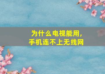 为什么电视能用,手机连不上无线网