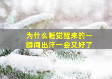 为什么睡觉醒来的一瞬间出汗一会又好了