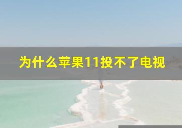 为什么苹果11投不了电视