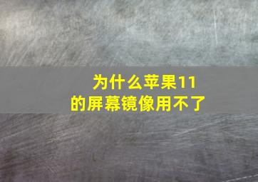 为什么苹果11的屏幕镜像用不了