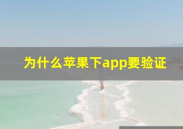 为什么苹果下app要验证