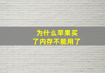 为什么苹果买了内存不能用了