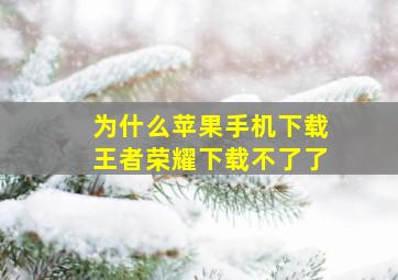 为什么苹果手机下载王者荣耀下载不了了