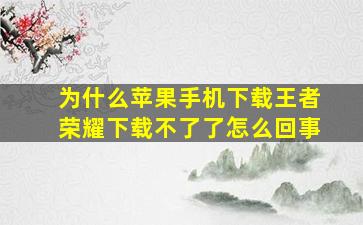 为什么苹果手机下载王者荣耀下载不了了怎么回事