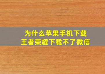 为什么苹果手机下载王者荣耀下载不了微信