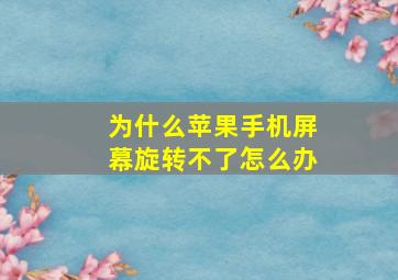 为什么苹果手机屏幕旋转不了怎么办