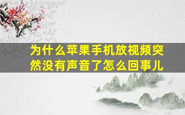 为什么苹果手机放视频突然没有声音了怎么回事儿