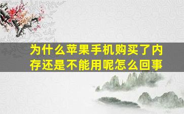 为什么苹果手机购买了内存还是不能用呢怎么回事