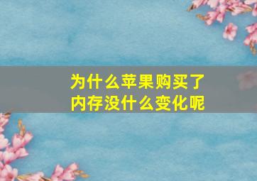 为什么苹果购买了内存没什么变化呢