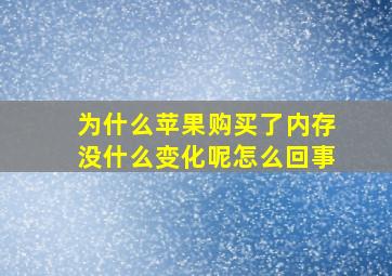 为什么苹果购买了内存没什么变化呢怎么回事