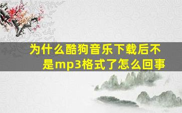 为什么酷狗音乐下载后不是mp3格式了怎么回事