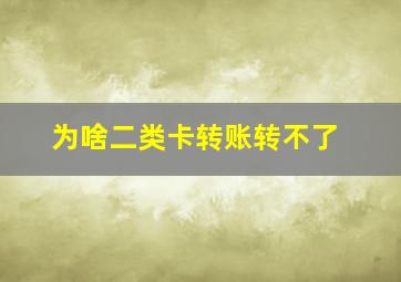 为啥二类卡转账转不了