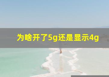 为啥开了5g还是显示4g