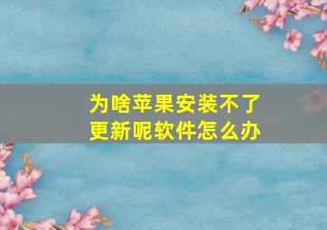 为啥苹果安装不了更新呢软件怎么办