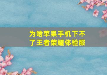 为啥苹果手机下不了王者荣耀体验服