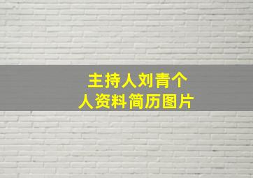 主持人刘青个人资料简历图片