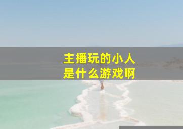 主播玩的小人是什么游戏啊