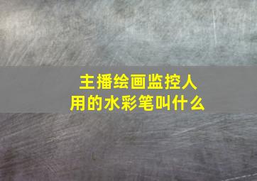 主播绘画监控人用的水彩笔叫什么