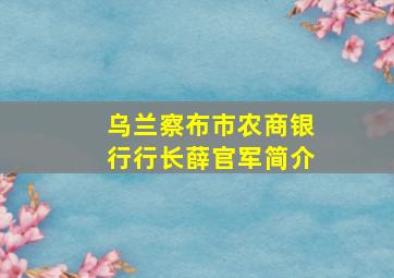 乌兰察布市农商银行行长薛官军简介