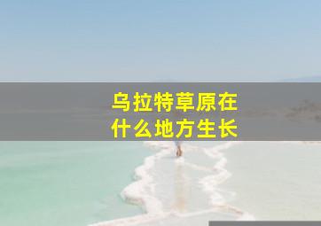 乌拉特草原在什么地方生长