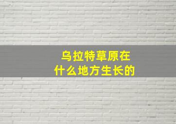 乌拉特草原在什么地方生长的