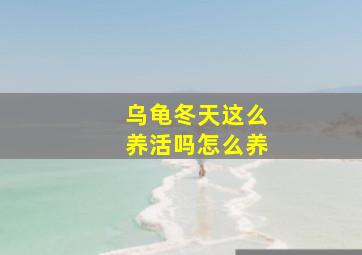 乌龟冬天这么养活吗怎么养