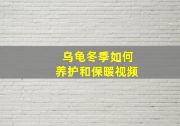 乌龟冬季如何养护和保暖视频