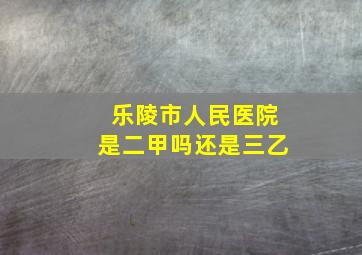 乐陵市人民医院是二甲吗还是三乙