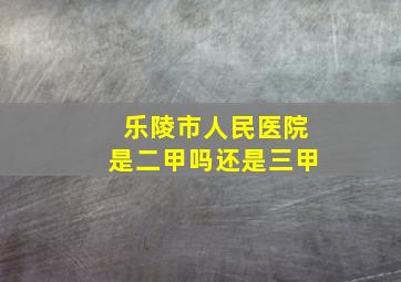 乐陵市人民医院是二甲吗还是三甲