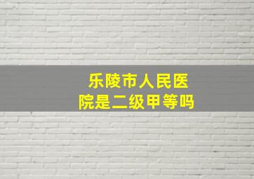 乐陵市人民医院是二级甲等吗