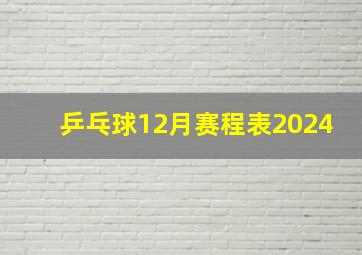 乒乓球12月赛程表2024