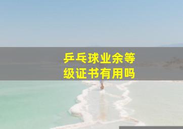 乒乓球业余等级证书有用吗