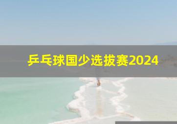 乒乓球国少选拔赛2024