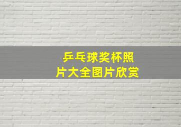 乒乓球奖杯照片大全图片欣赏