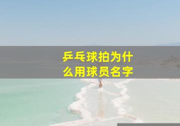 乒乓球拍为什么用球员名字